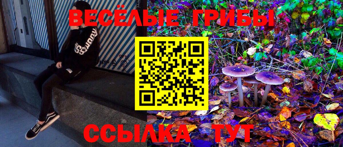 Галлюциногенные грибы Psilocybine cubensis Кувандык