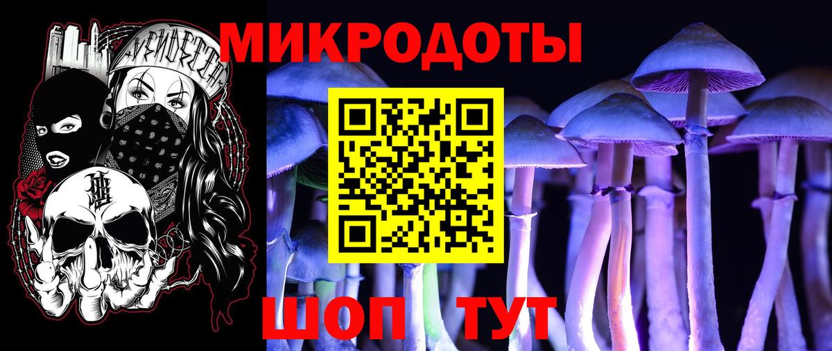 Галлюциногенные грибы Cubensis  Вход с VPN  Галлюциногенные грибы Psilocybe  Кувандык 